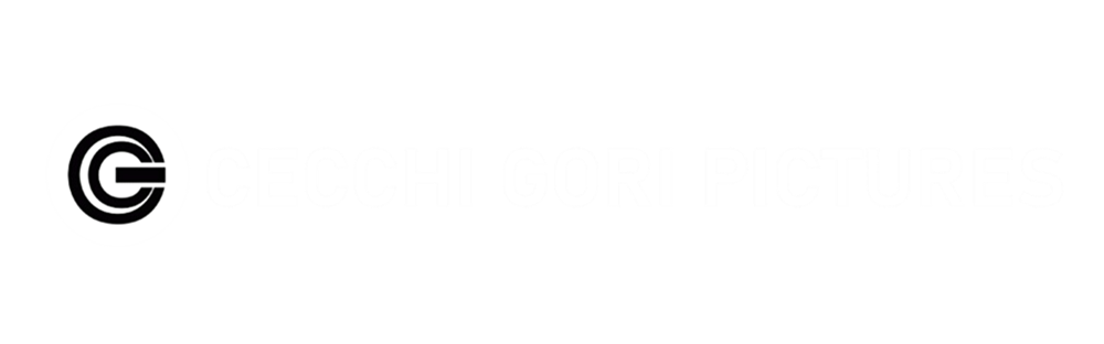 Website developed for cecchi gori pictures inc by Flori Myrta