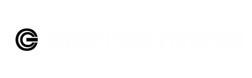 Website developed for cecchi gori pictures inc by Flori Myrta