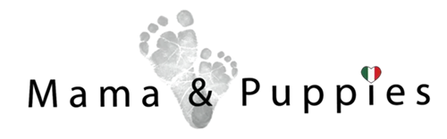 Wordpress Website developed for mama e puppies