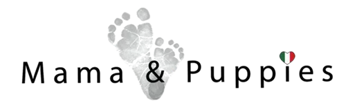 Wordpress Website developed for mama e puppies