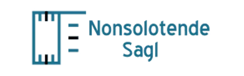 Nonsolotende WORDPRESS website design and development for