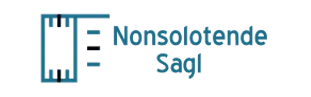 Nonsolotende WORDPRESS website design and development for